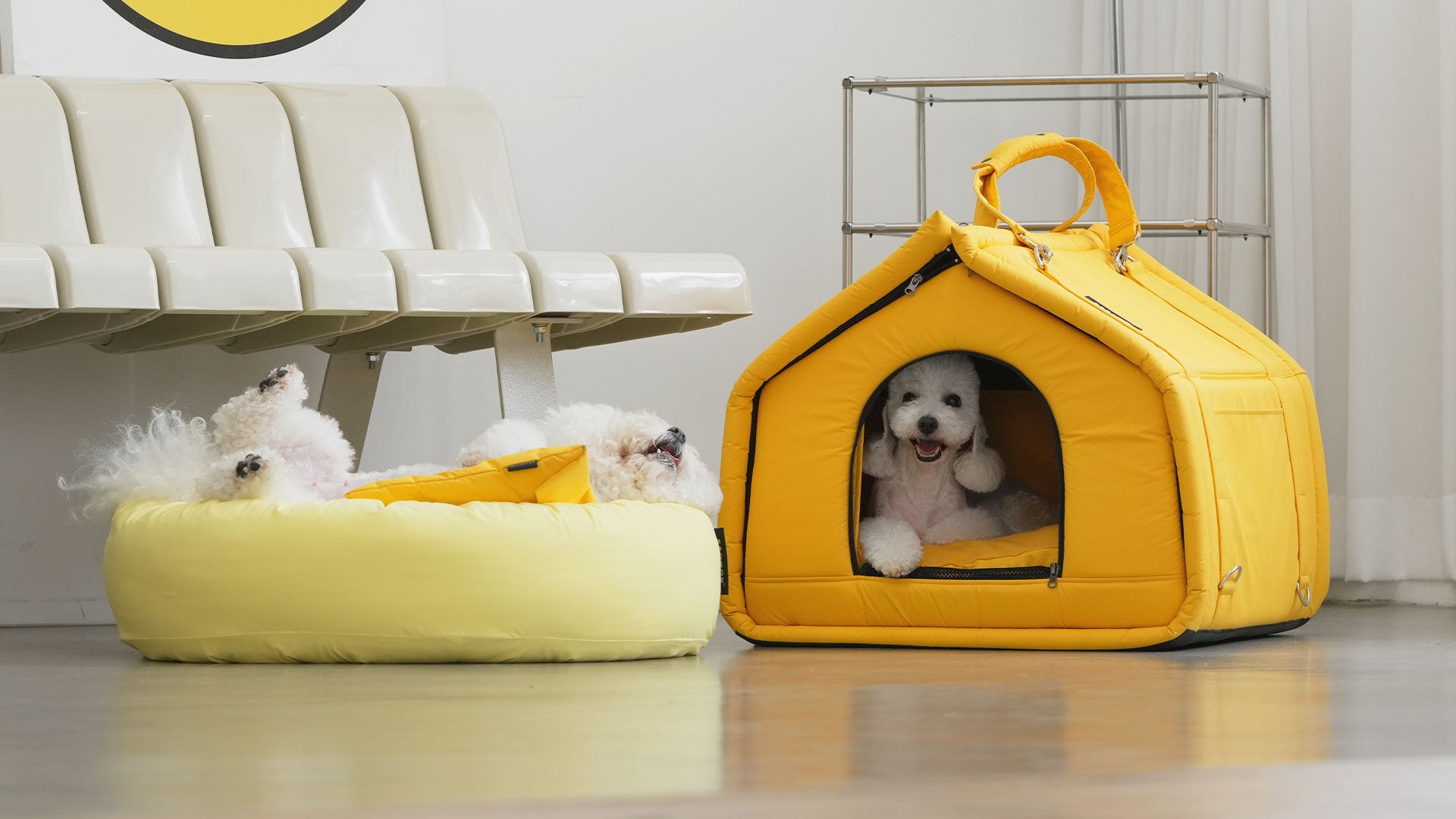 Dog best sale dome house