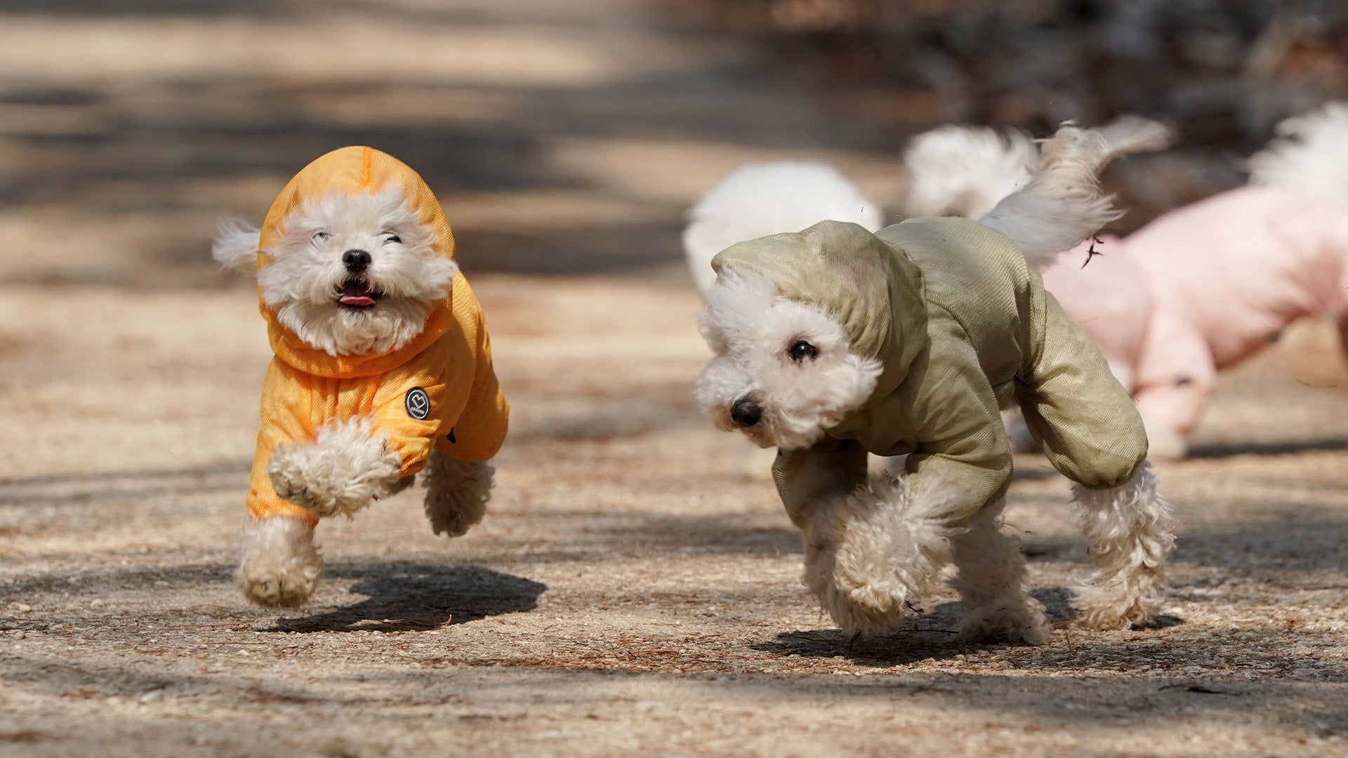 SSOOOK Breathable Mesh Coveralls