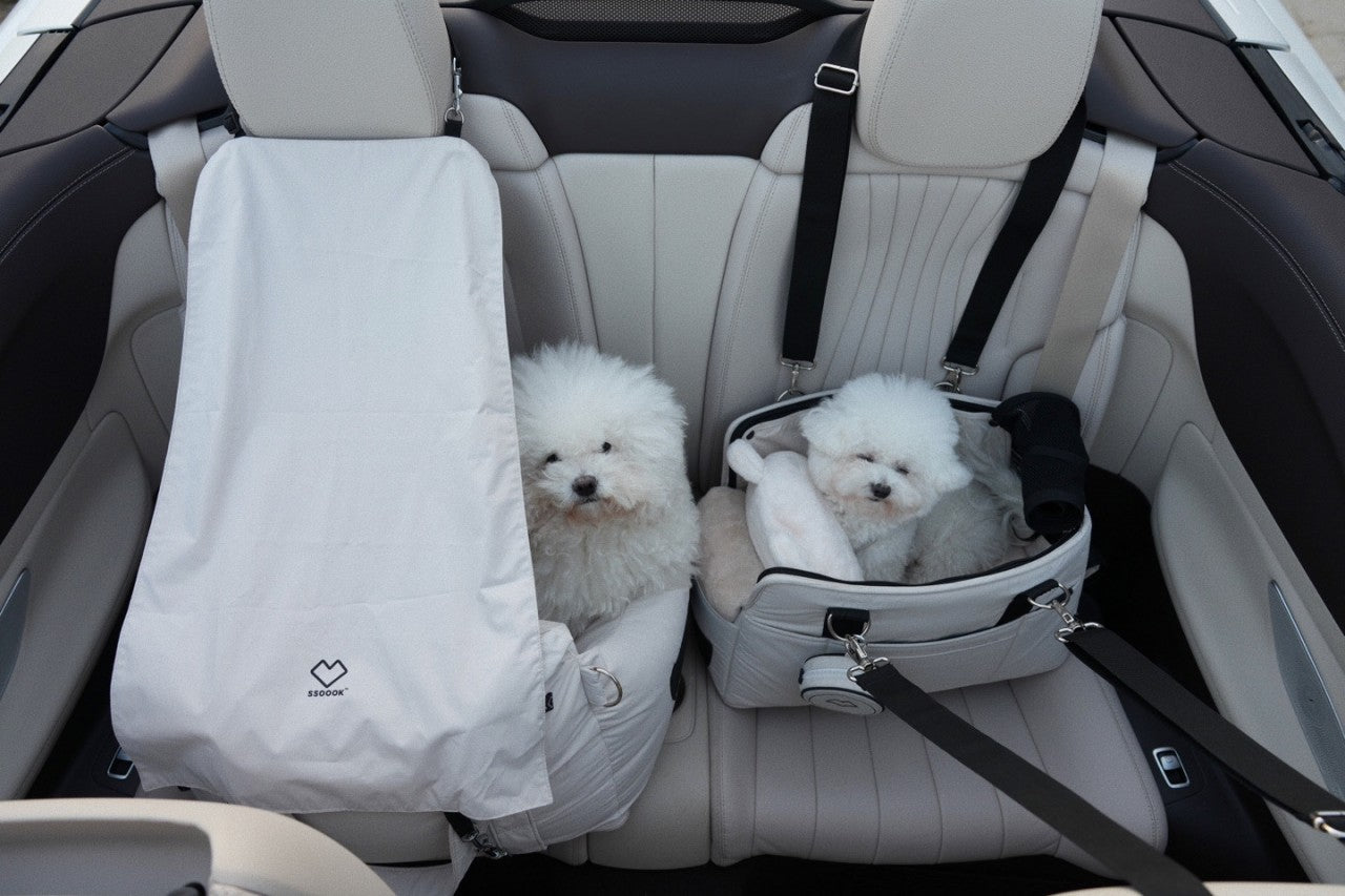 travel with SSOOOK