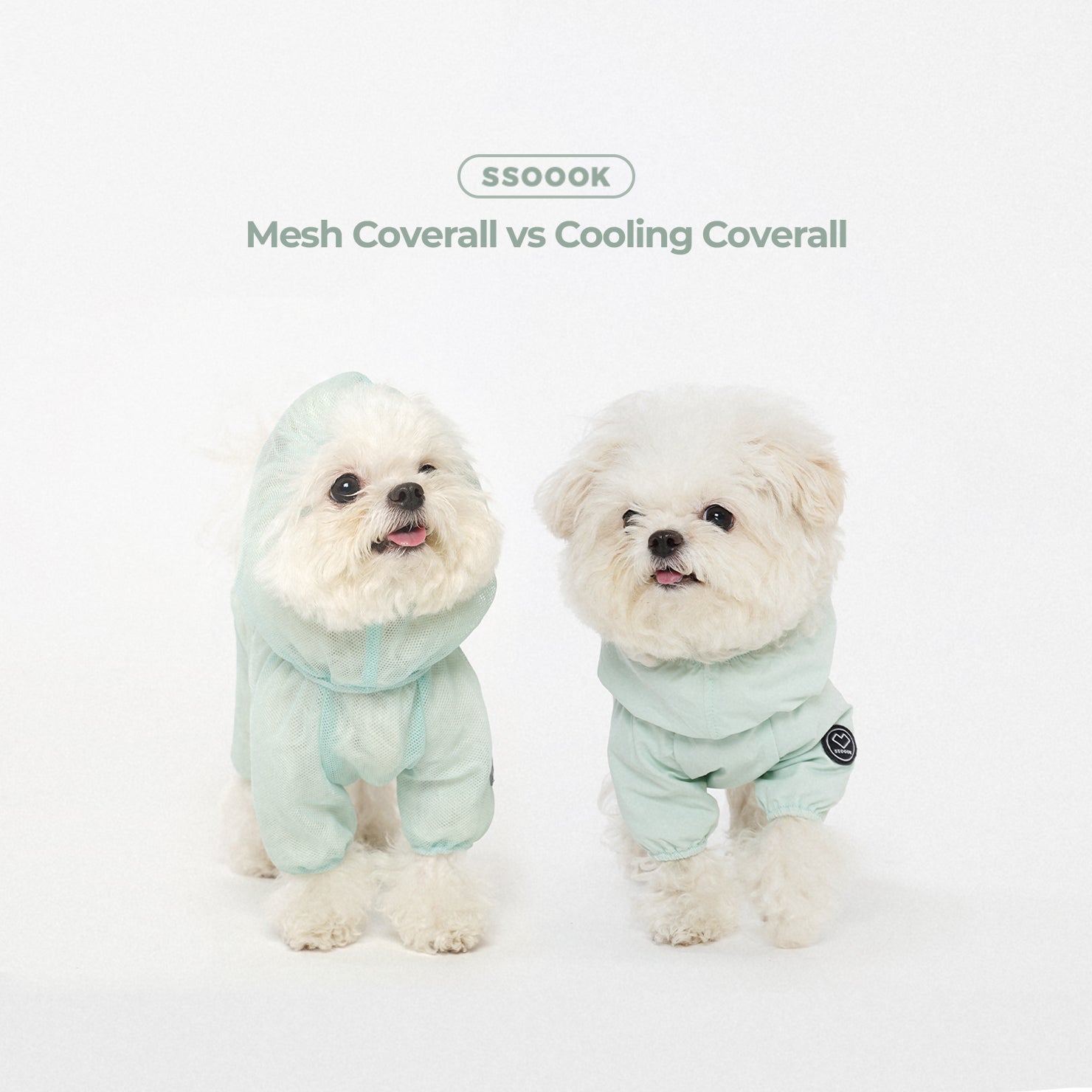 Which walk coverall is right for my dog?
