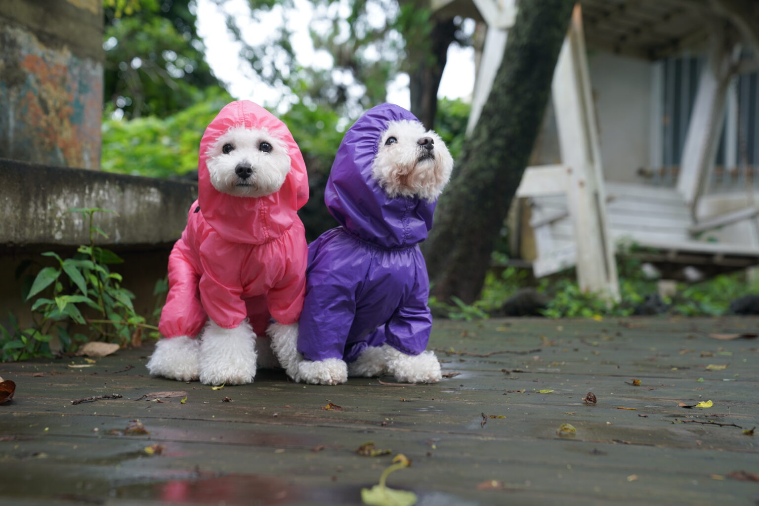 SSOOOK Raincoat