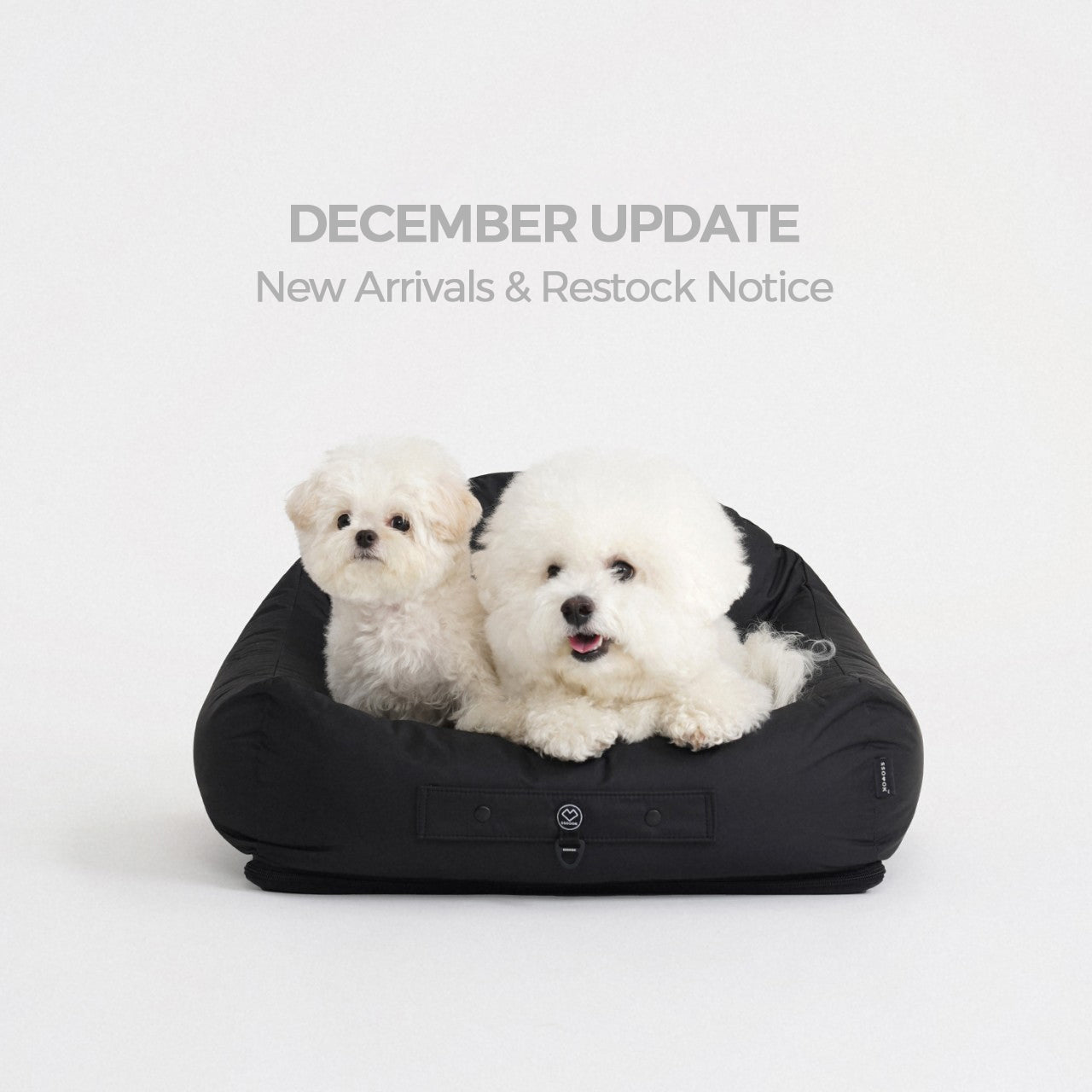 [December] New Arrivals & Restock Notice
