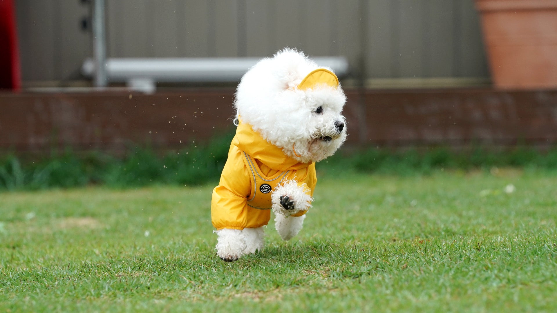 Doggies who need SSOOOK Air Coveralls