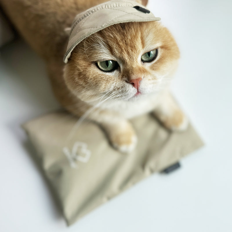 [RESTOCK] The Long Awaited Ice Pack Pouch is Back!