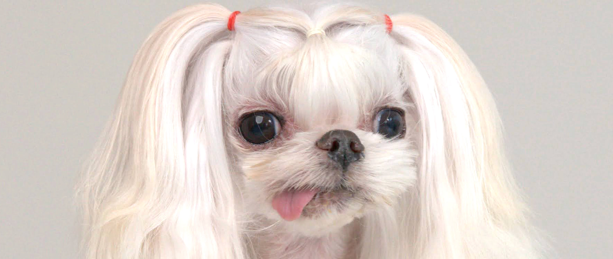 MODEL EOJJU