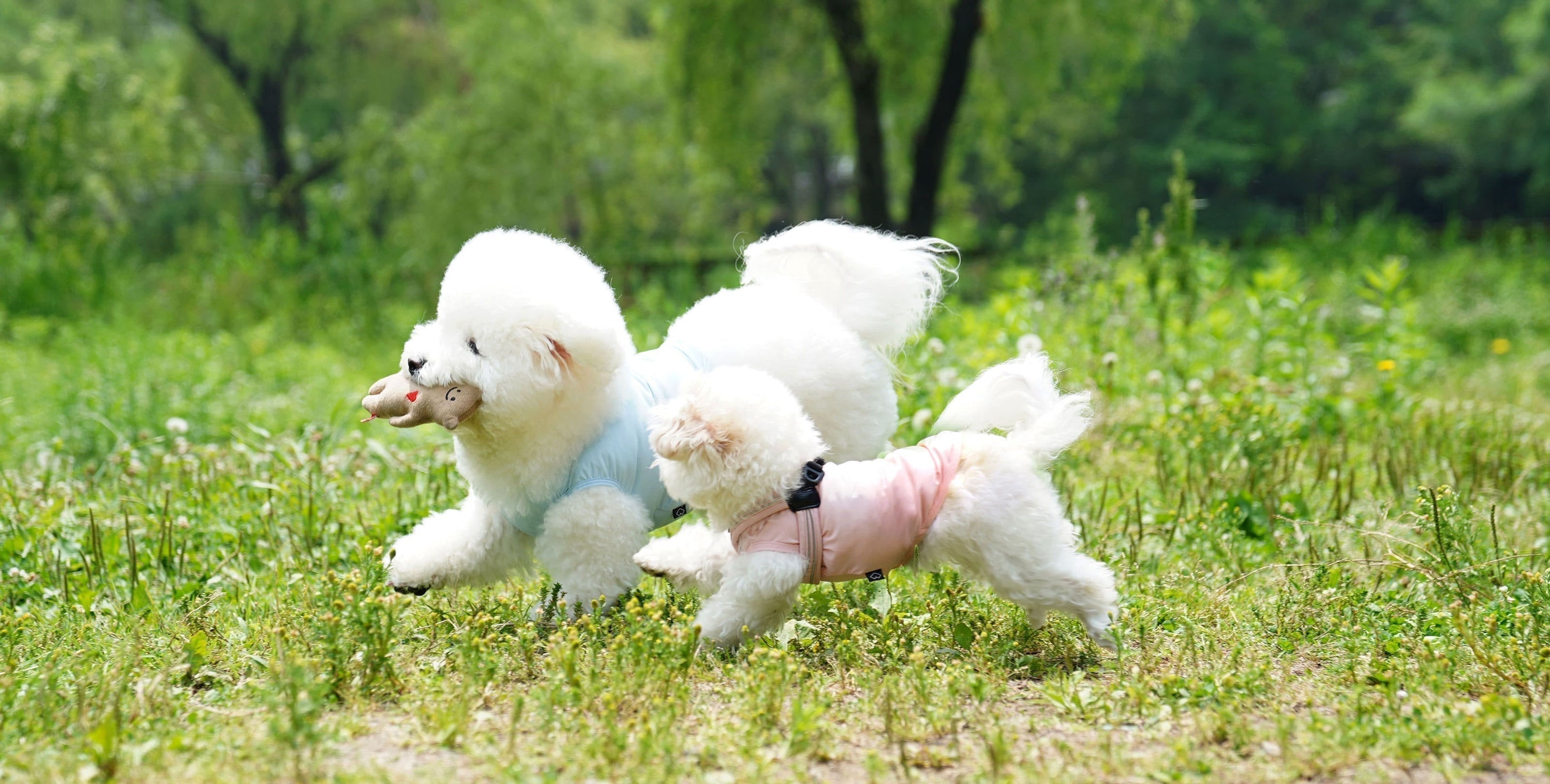 [NEW LAUNCH] Cooling Coveralls, redesigned for short-legged pups!