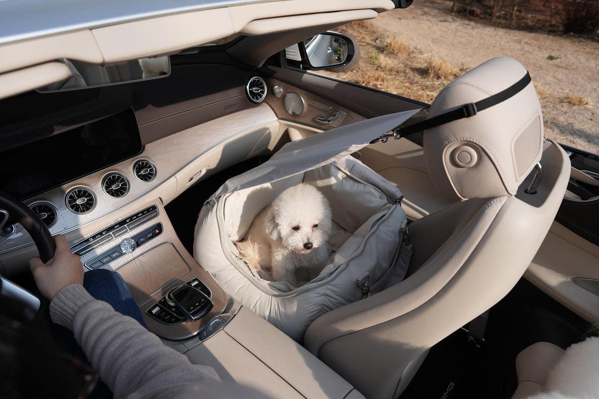 Restock Notice: SO-TR003 Full Cover Car Seat & SO-AC002 Sunvisor are Back!