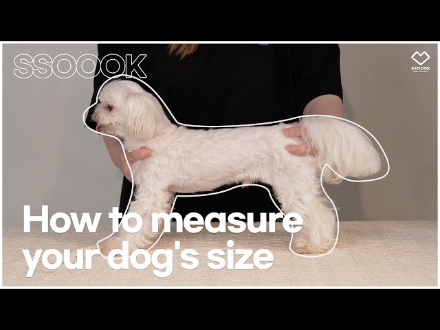 How to Measure your Dog's Size - (EN) – SSOOOK