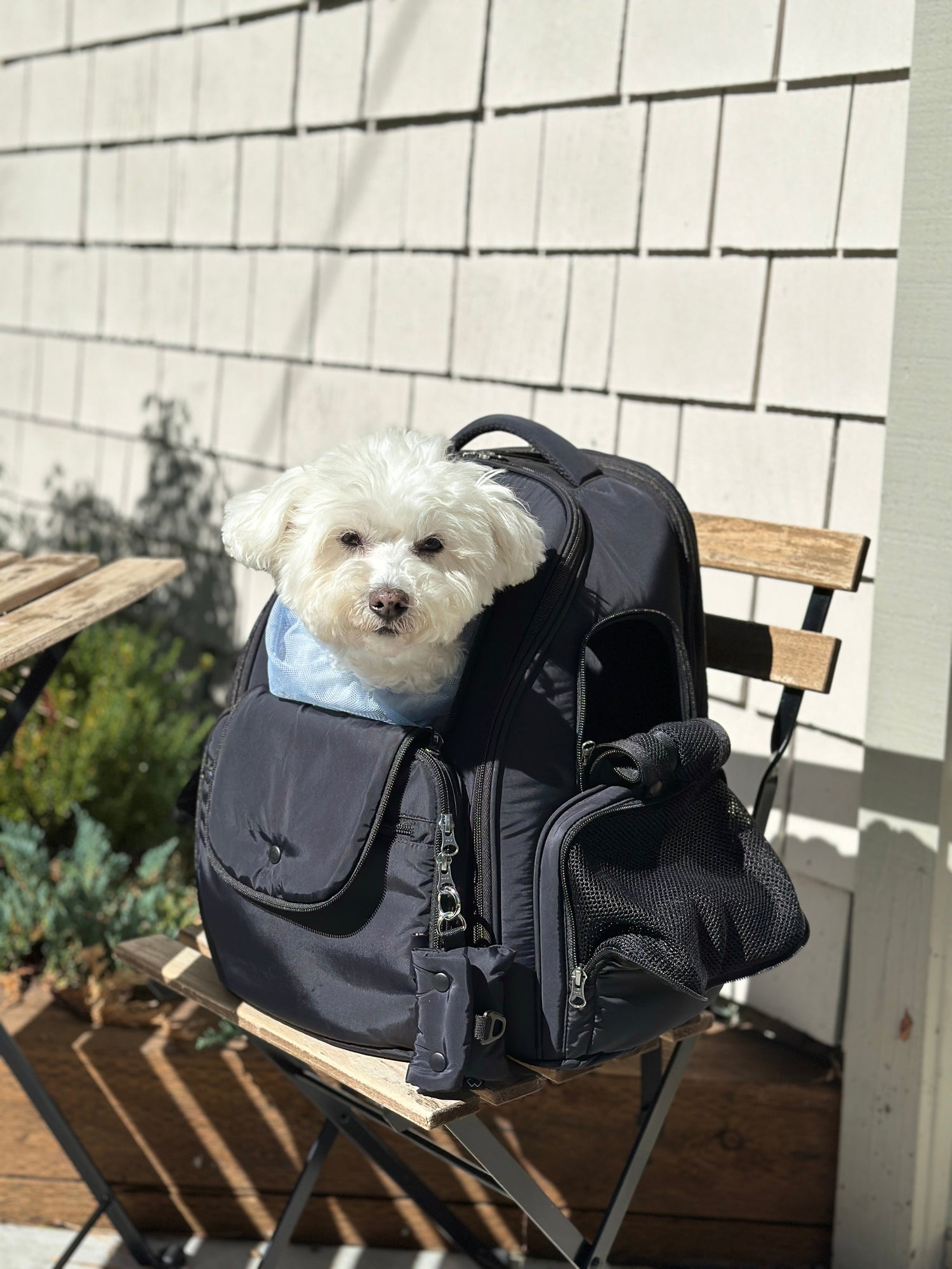 SSOOOK BACKPACK GRAND OPENING