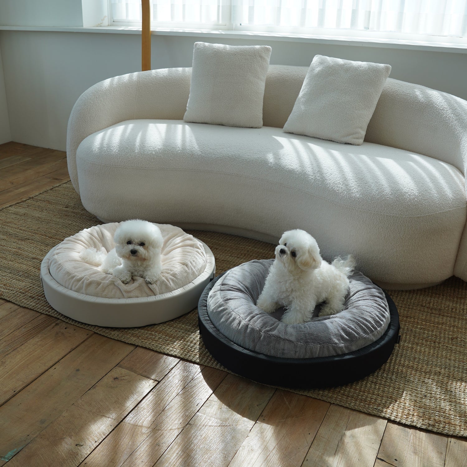 [INTRODUCING] SSOOOK's Comfort Line