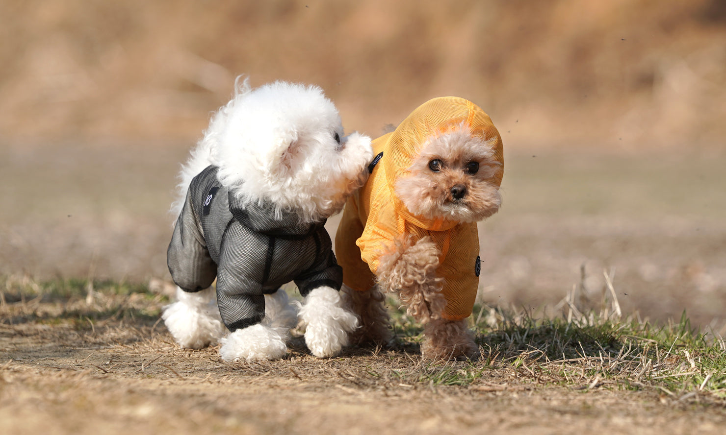 [DAILY WALK ESSENTIALS SET] Just in Time for Spring!