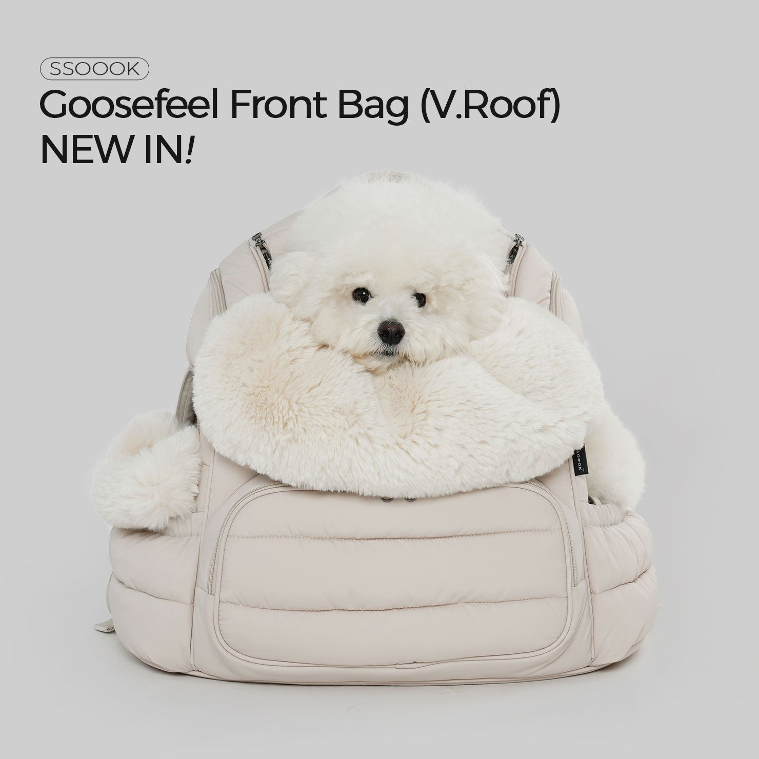 [January] New Arrivals at SSOOOK