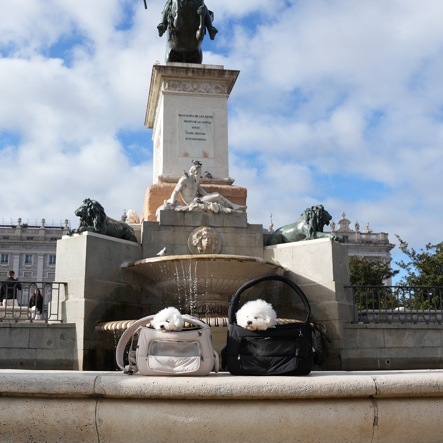 The Next Generation: View Sling Bag Pre-order Tomorrow