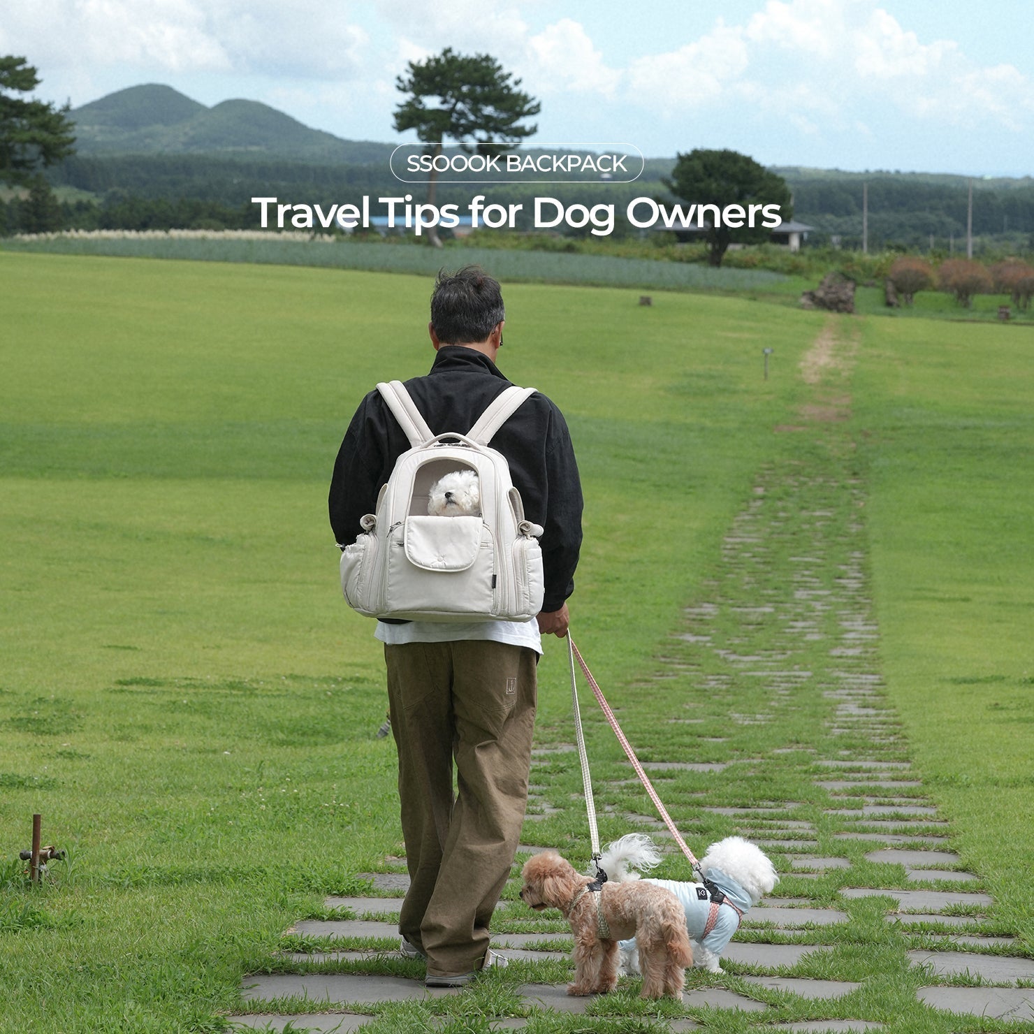 What’s the Best Travel Bag for Your Dog?