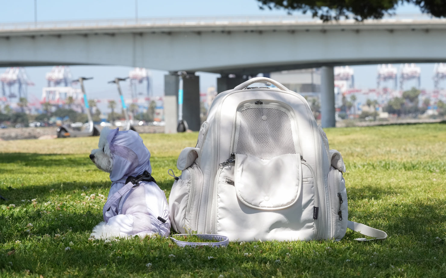 🚨 [Surprise!] No more waiting! SO-CA431 Backpack Pre-Order starts TONIGHT!