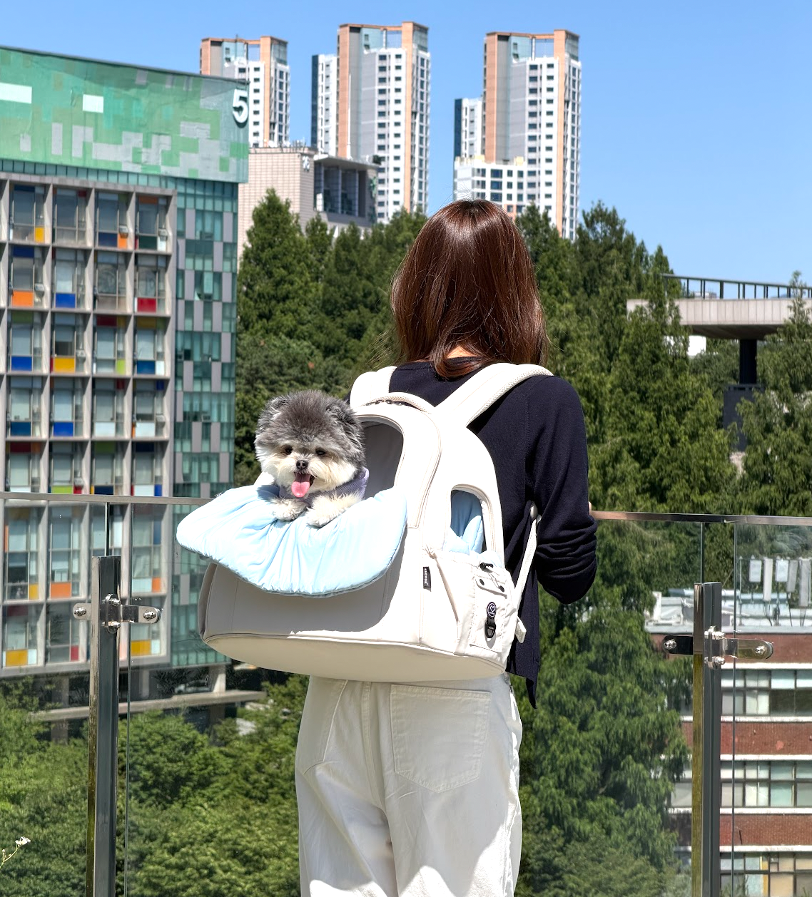 [RESTOCK] The SSOOOK Double Window Front Bag is BACK!