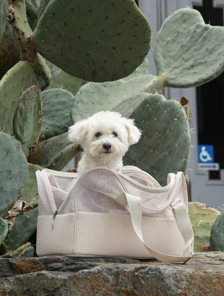 [NEW LIMITED RELEASE] The Soft Mesh Bag, Made to Move Light
