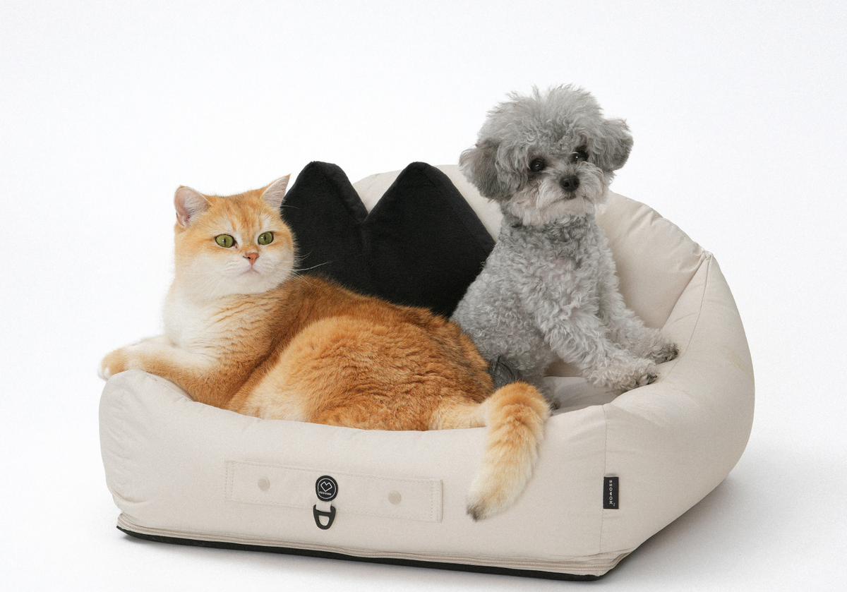 Pre-Order Alert: The Ultimate Cozy SSOOOK Sofa Bed is Coming Soon!