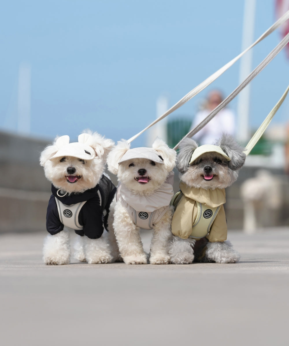 Labor Day Sale 50% OFF Cool & Comfort Essentials! ☀️🐾