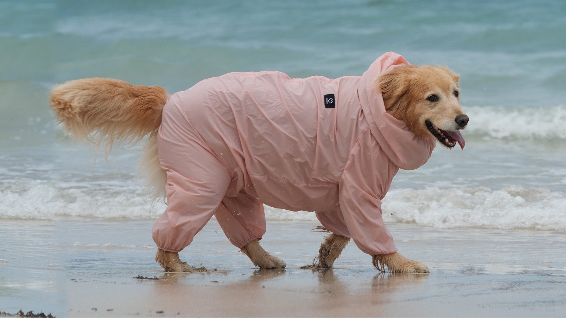 SSOOOK walking Coverall for large dogs