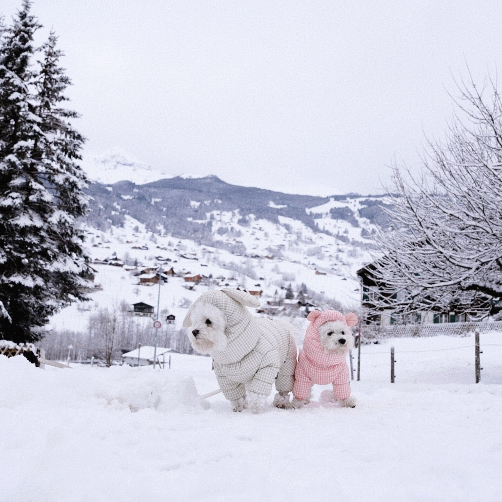 SSOOOK Winter in Switzerland