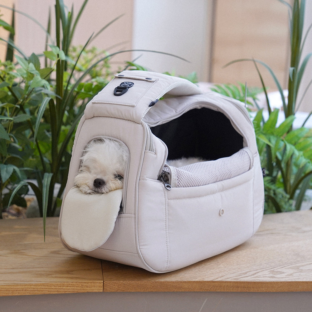 Does your dog calm down only with SSOOOK? The reason behind the change