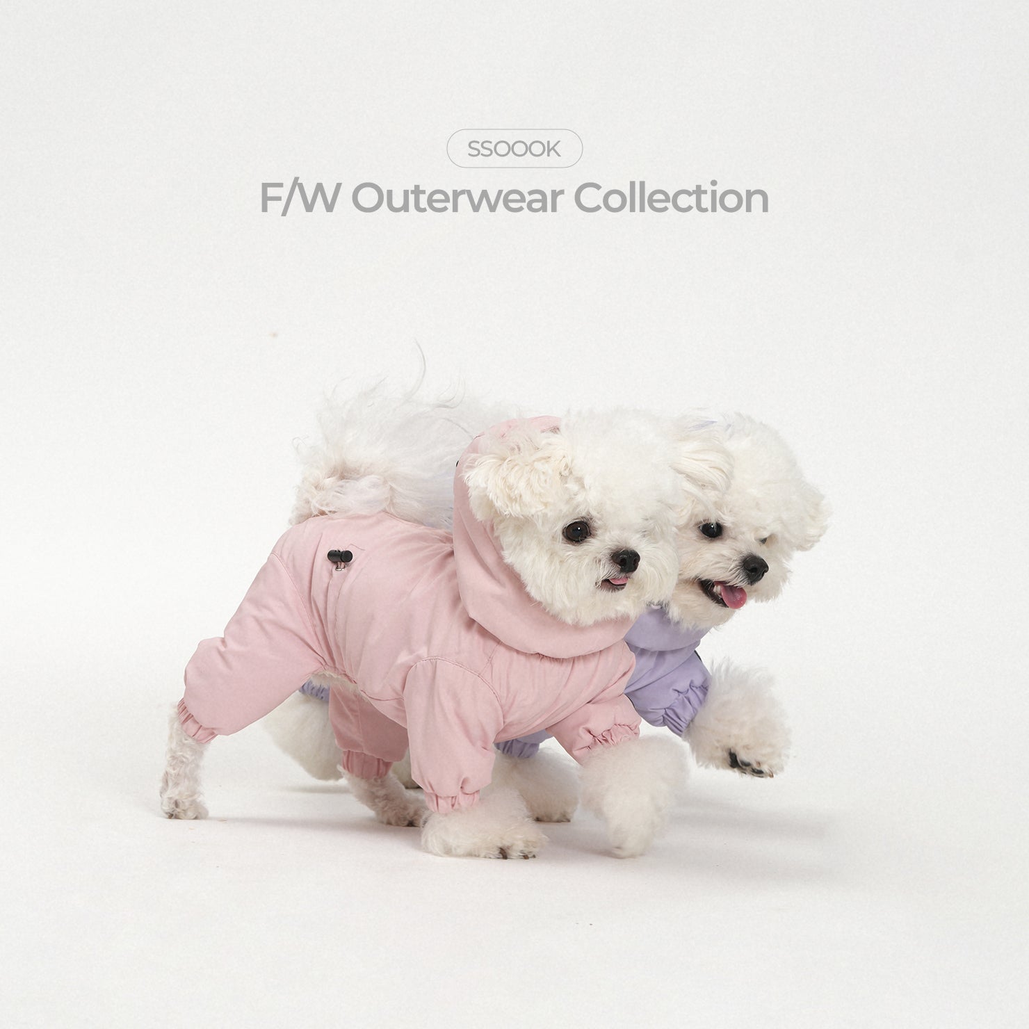 The Reason Winter Walks Aren’t Scary Anymore.