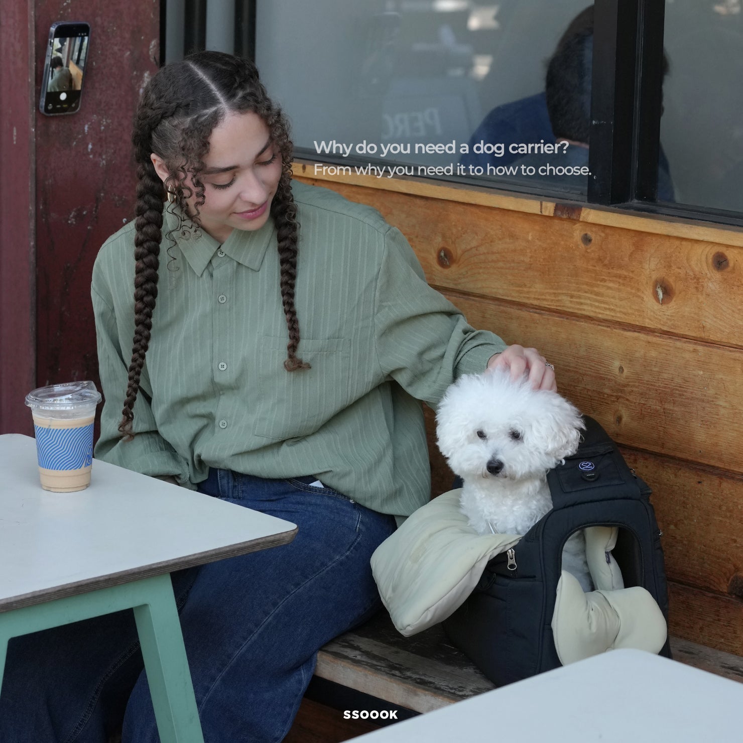 Why do you need a dog carrier?