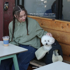 Why do you need a dog carrier?
