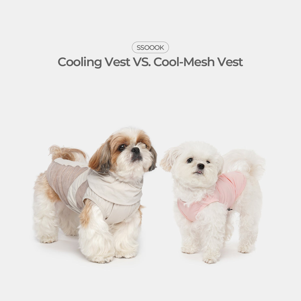 Summer Walks: Why Dogs Need 'Cooling Clothes' Too