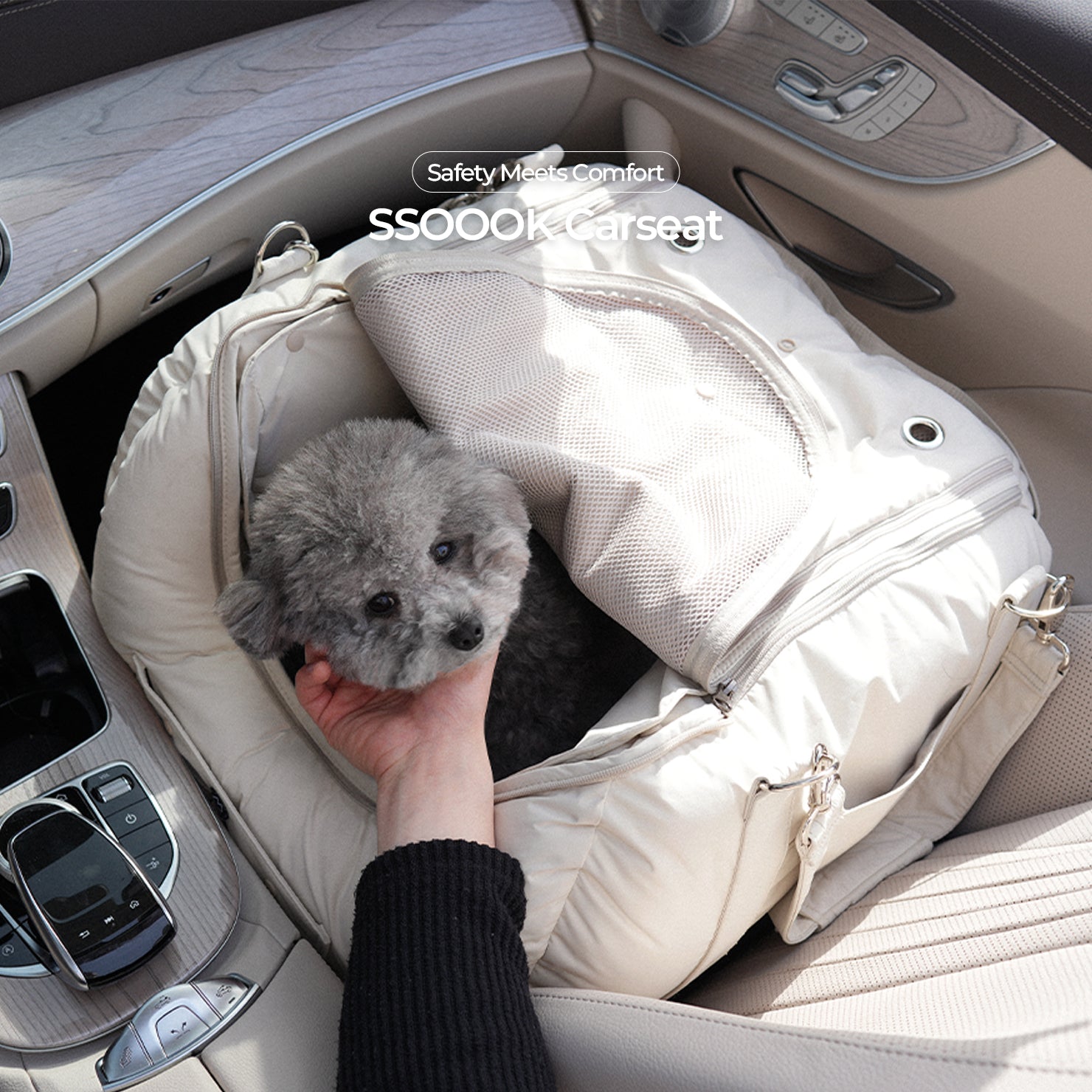 What kind of car seat does my dog need?