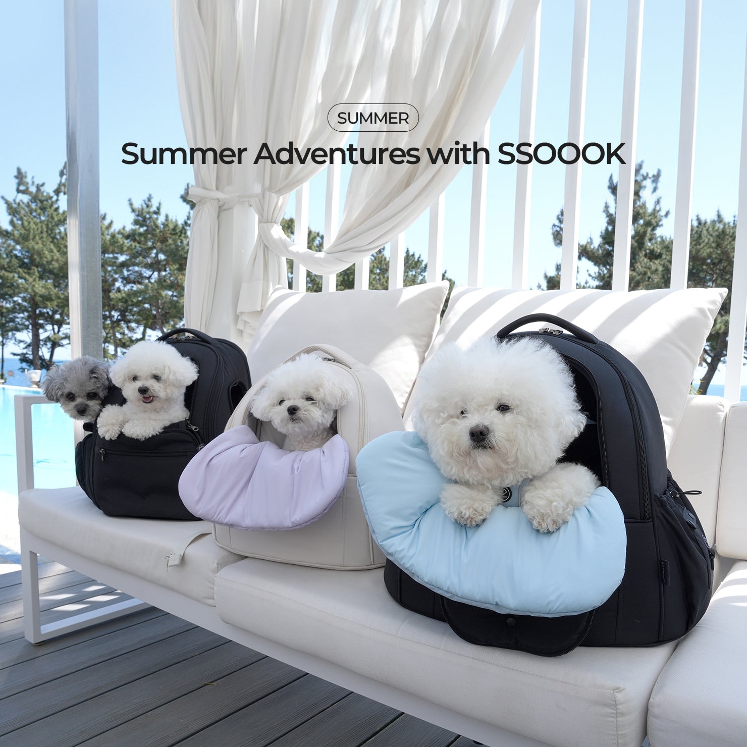 A Refreshing Summer Outing with SSOOOK