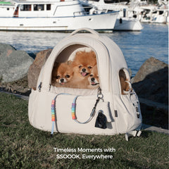 Timeless Moments with SSOOOK, Everywhere