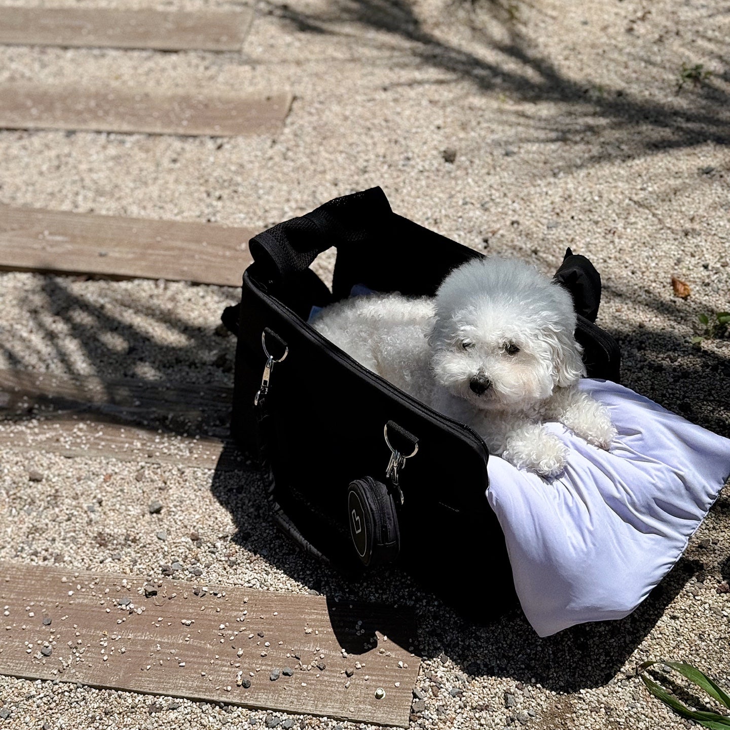 A great item for going out in the heat! SSOOOK Cooling Blanket Essential