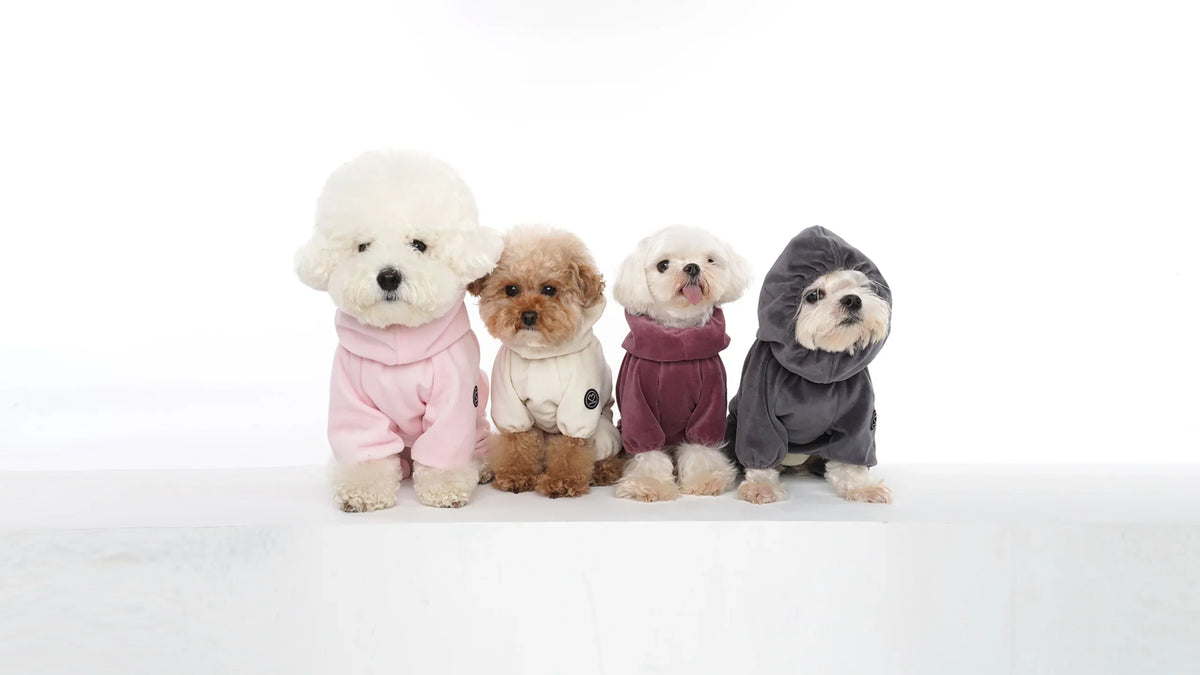 SSOOOK EASYWEAR