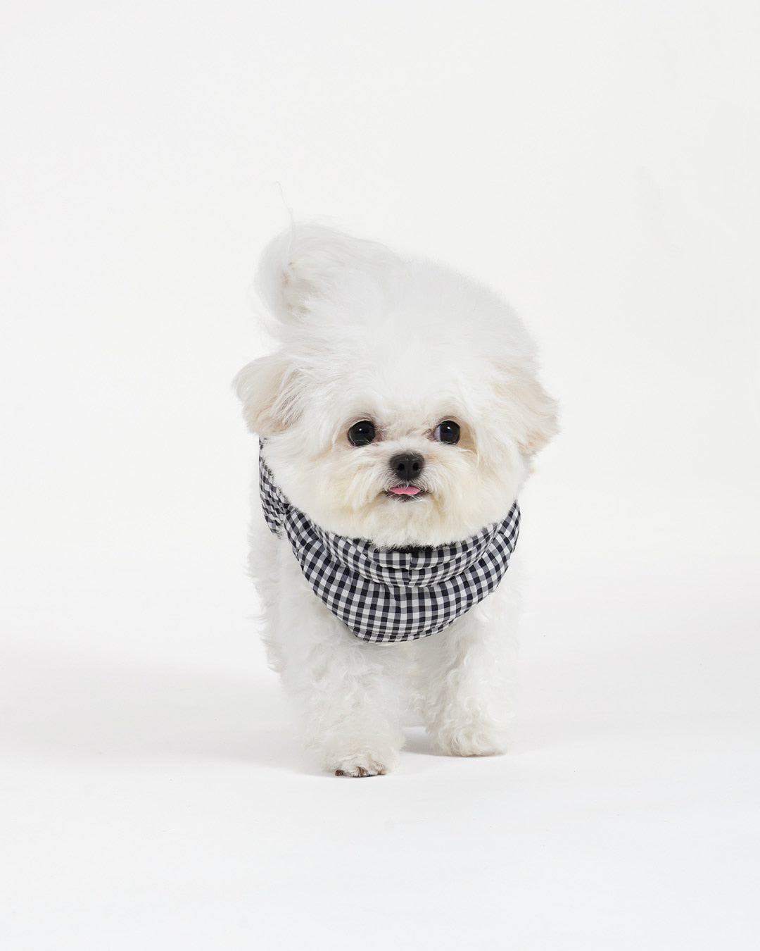 [SO-OW870] SSOOOK GooseFeel Check Padded Vest