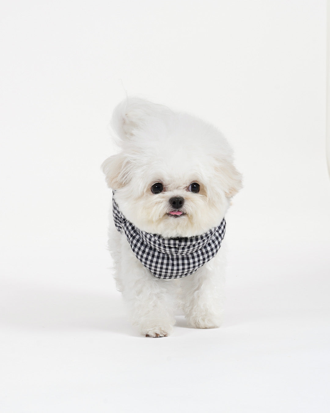 [SO-OW870] SSOOOK GooseFeel Check Padded Vest