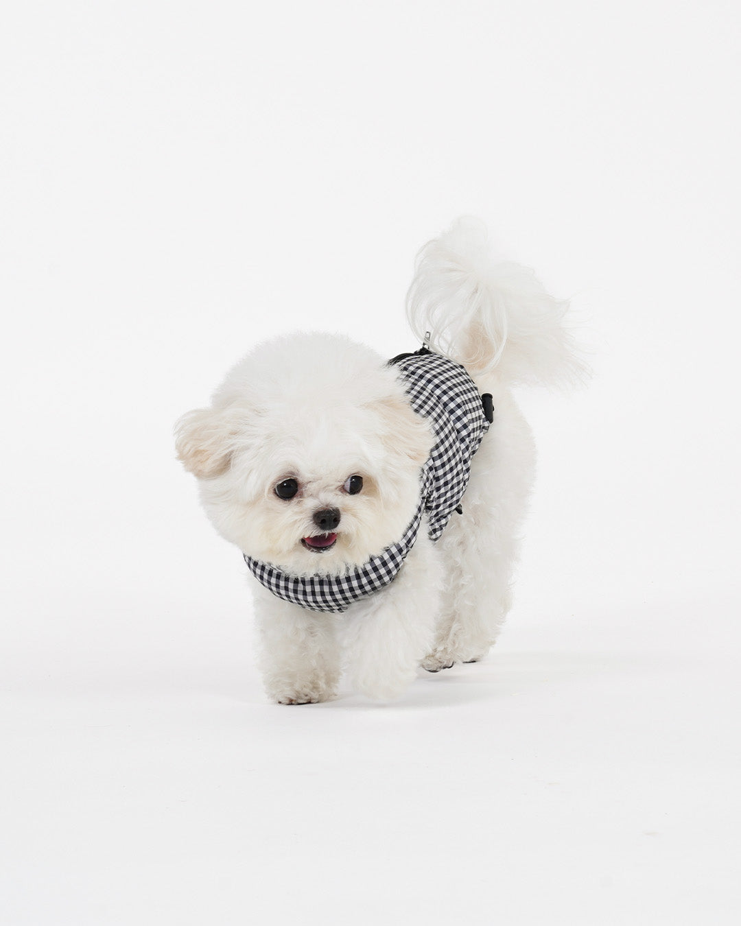 [SO-OW870] SSOOOK GooseFeel Check Padded Vest