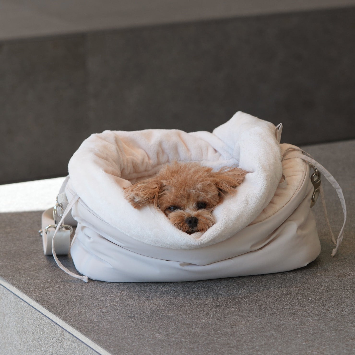 [SO-CA028] SSOOOK 5mm Boa Inner Sleeping Bag