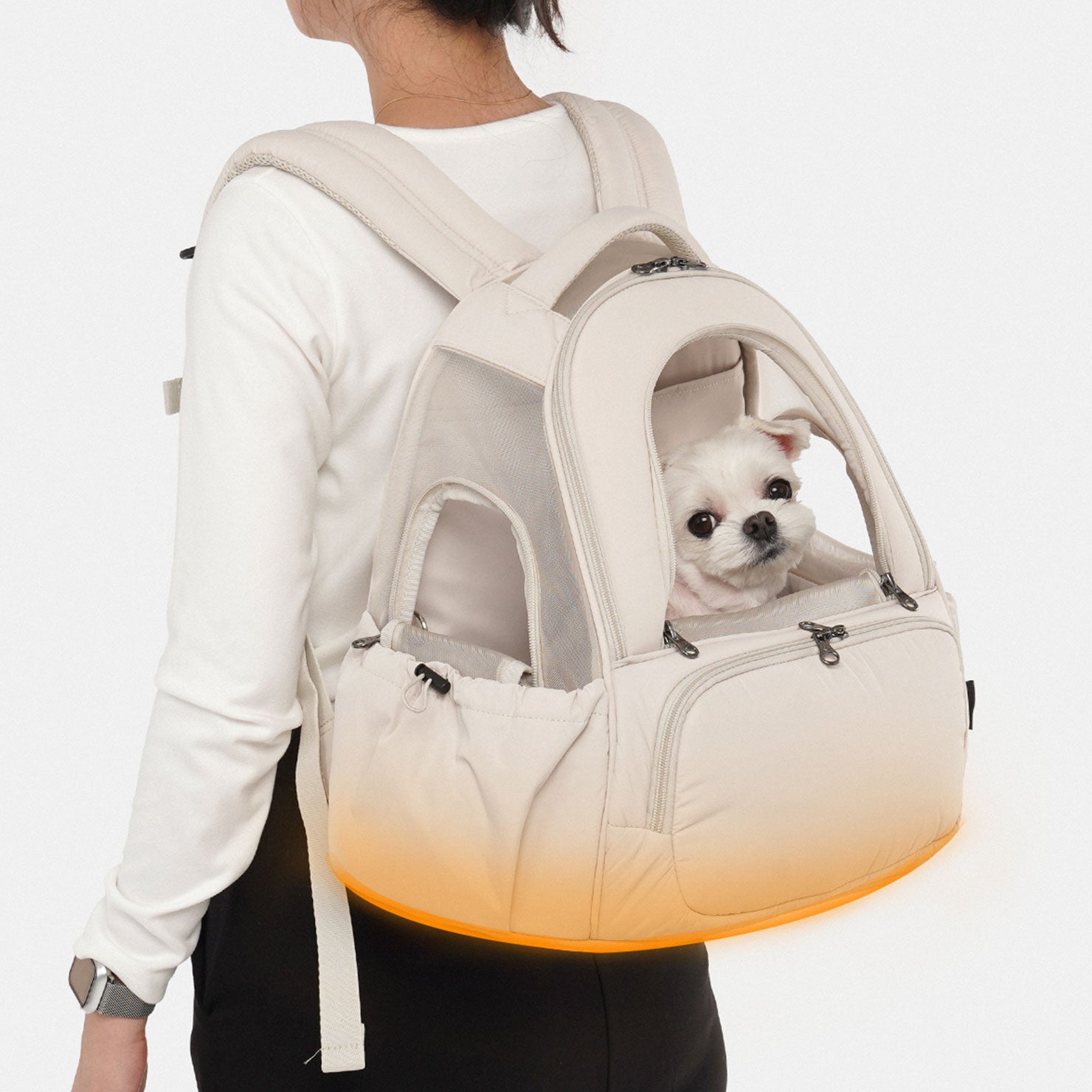 SO-CA419] SSOOOK Mesh Front Bag (V. Double Window)