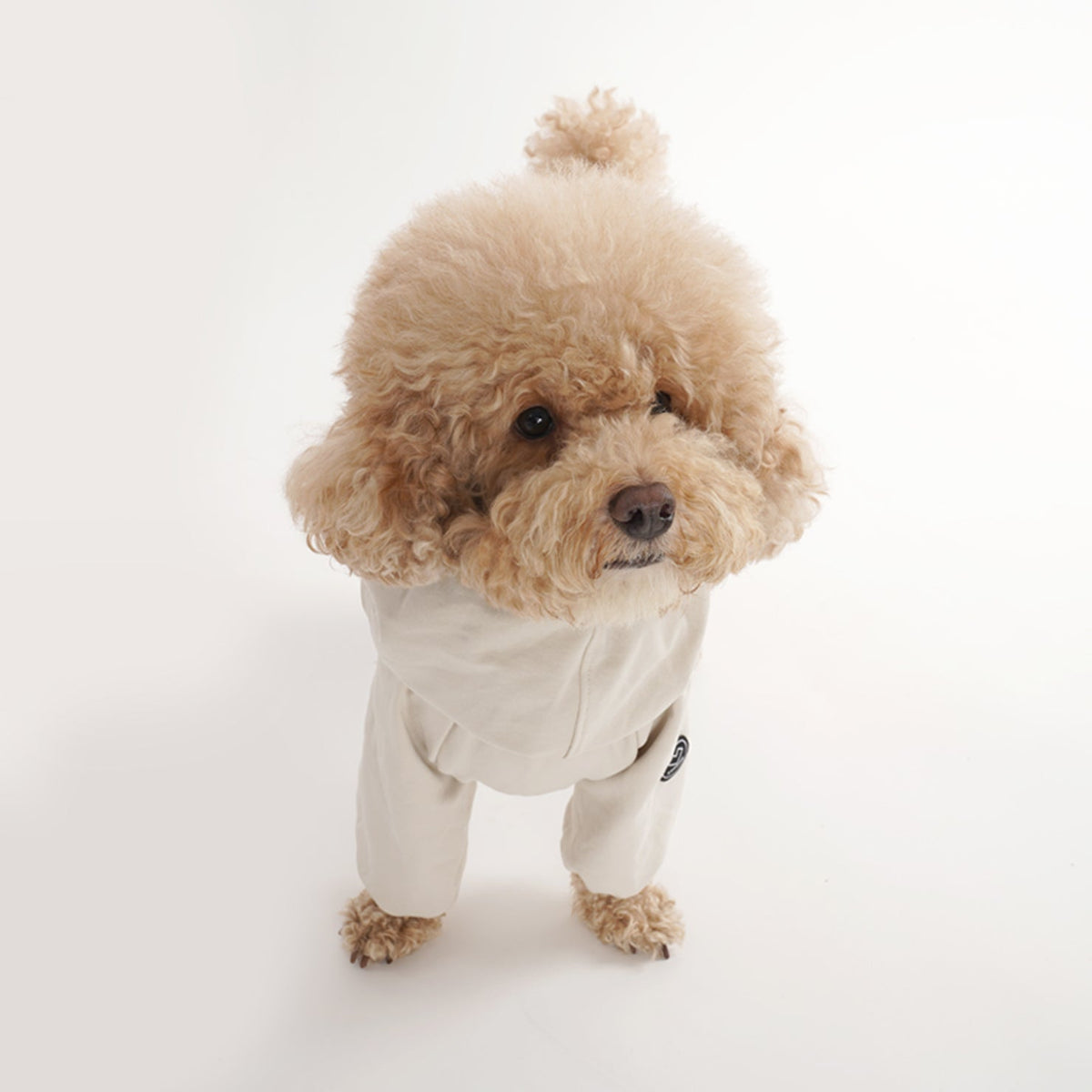 [SO-OR331] SSOOOK Terry Coverall (For Unisex) ( 2XL ~ 7XL )