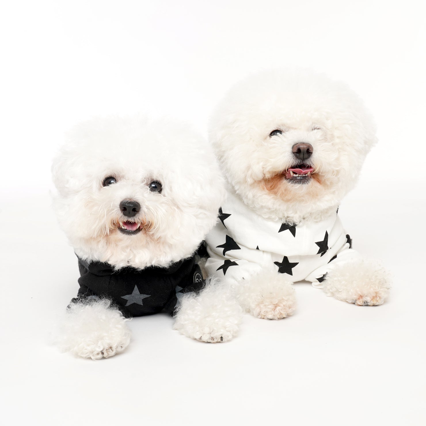 [PA-OR131] PUPPYANGEL Star Single Coverall (For Unisex) ( 2XL ~ 7XL )