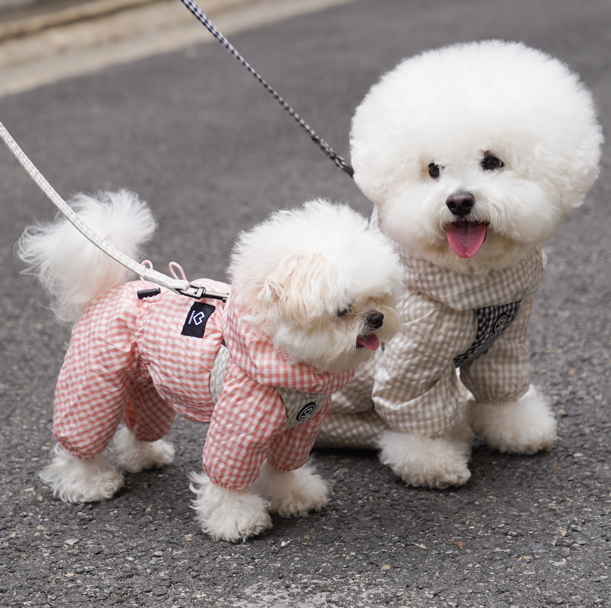 [SO-DL007] SSOOOK Check Leash
