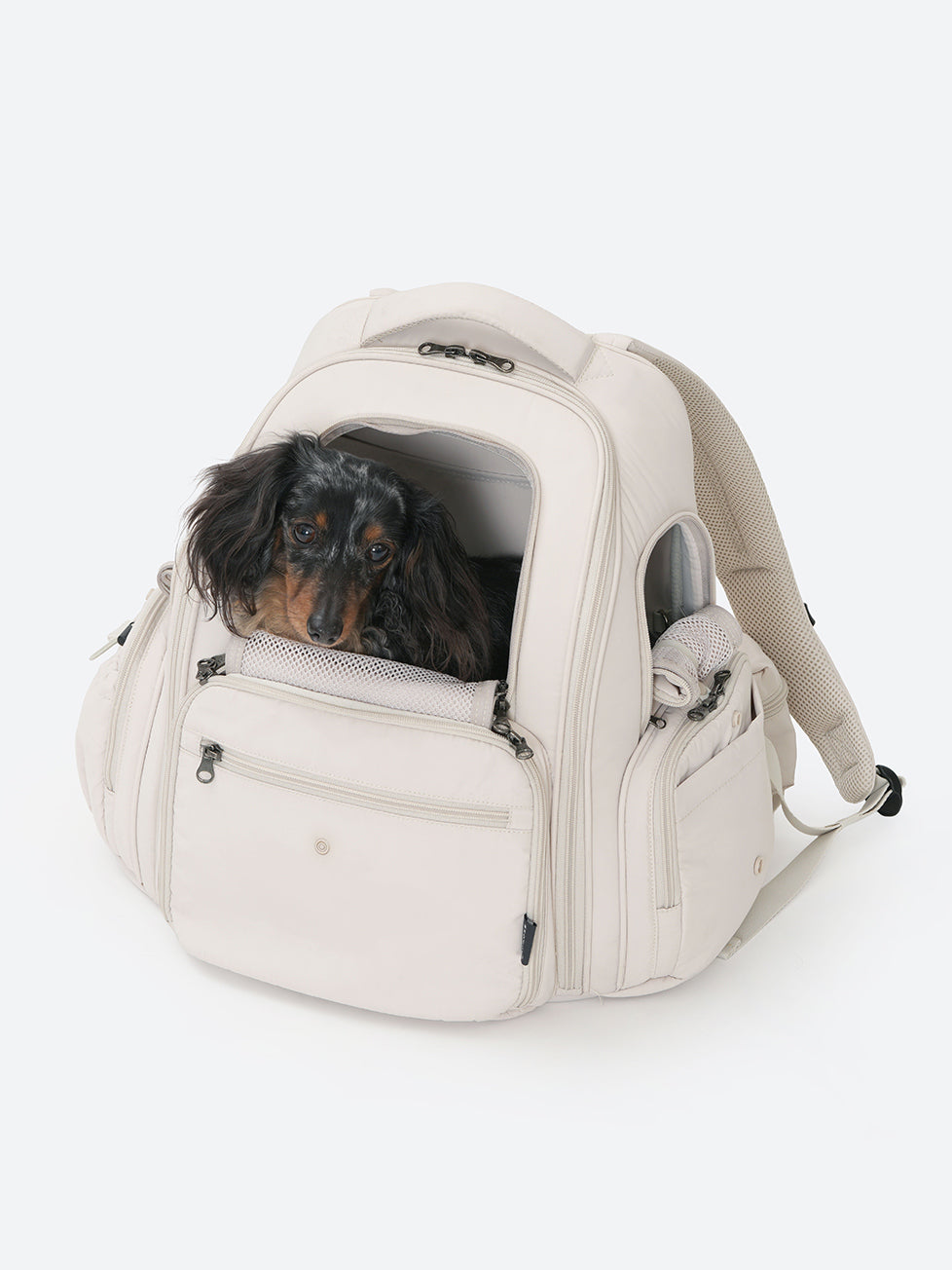 BACKPACK – SSOOOK