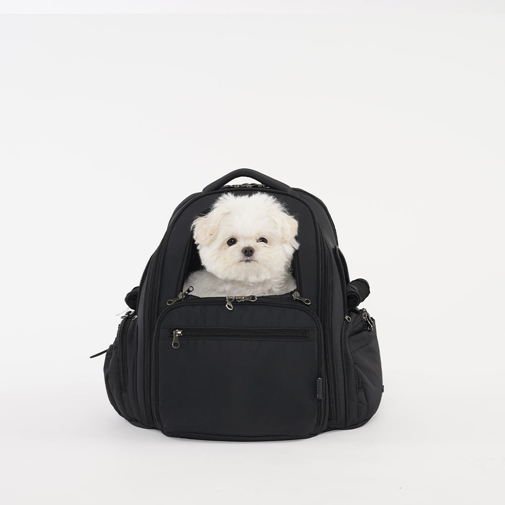 BACKPACK – SSOOOK