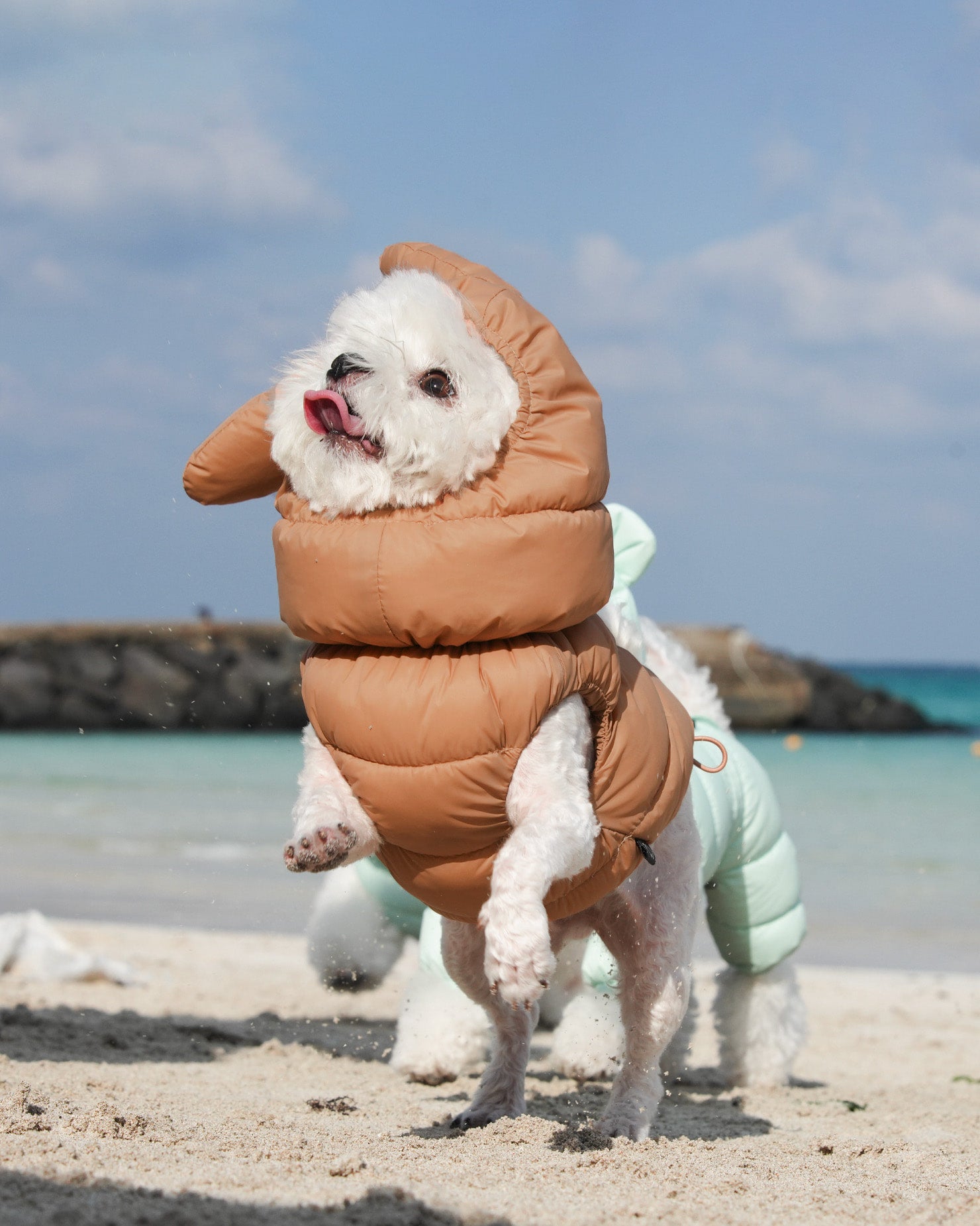 [SO-OW670] SSOOOK Goosefeel Padded Vest 3 (S ~ 7XL)