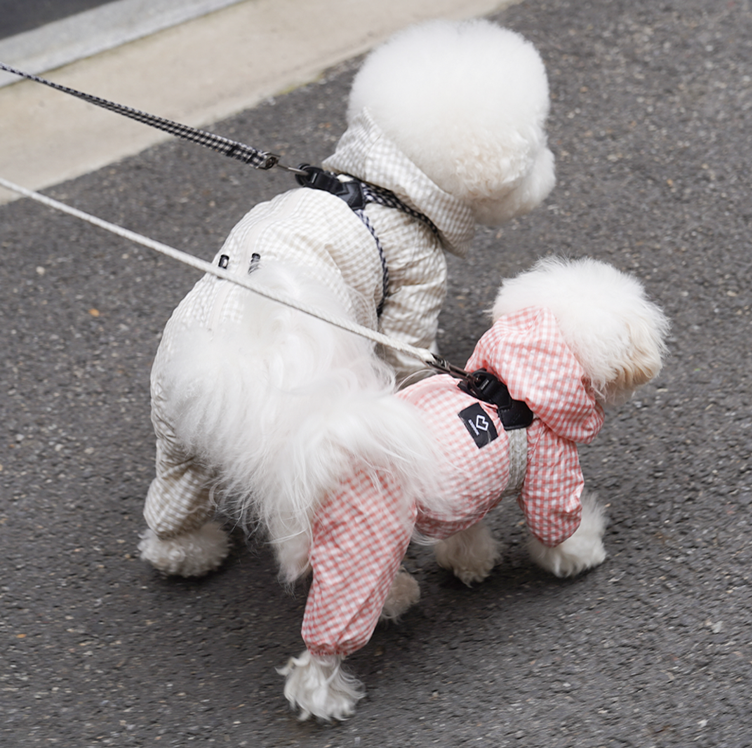 [SO-DL007] SSOOOK Check Leash