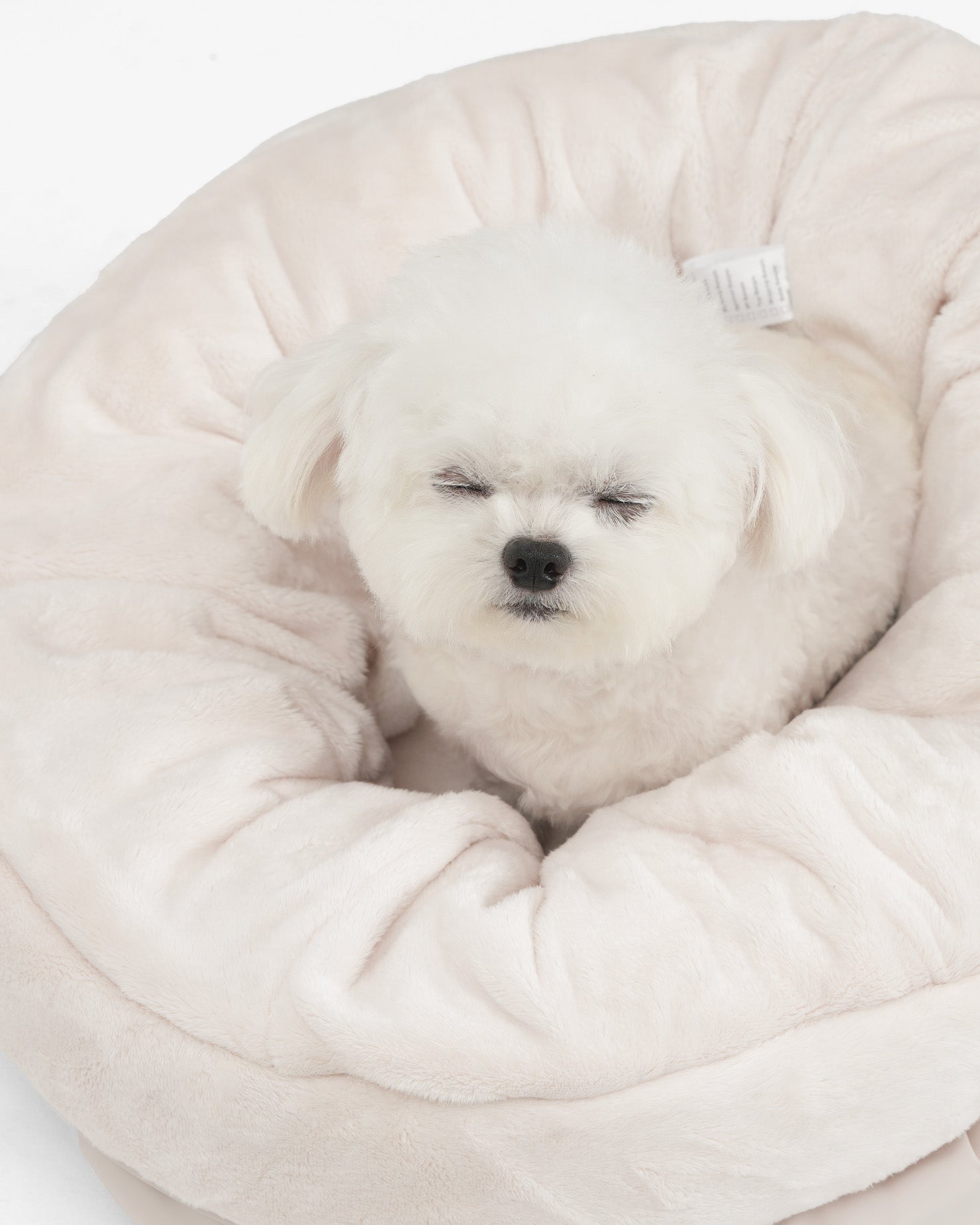 [SO-CA011] SSOOOK Sleeping Cushion &amp; Stroller Bags