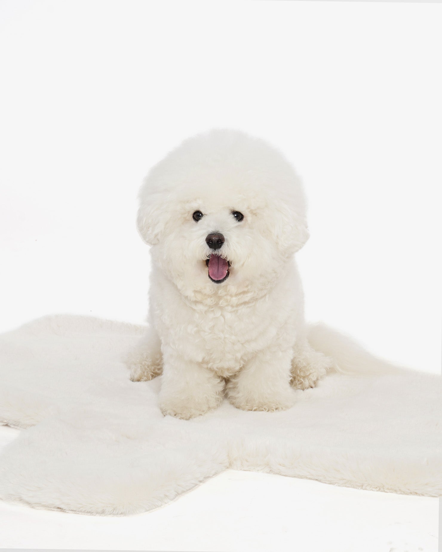 [SO-CV109] SSOOOK Eco Rabbit Fur Inner Blanket