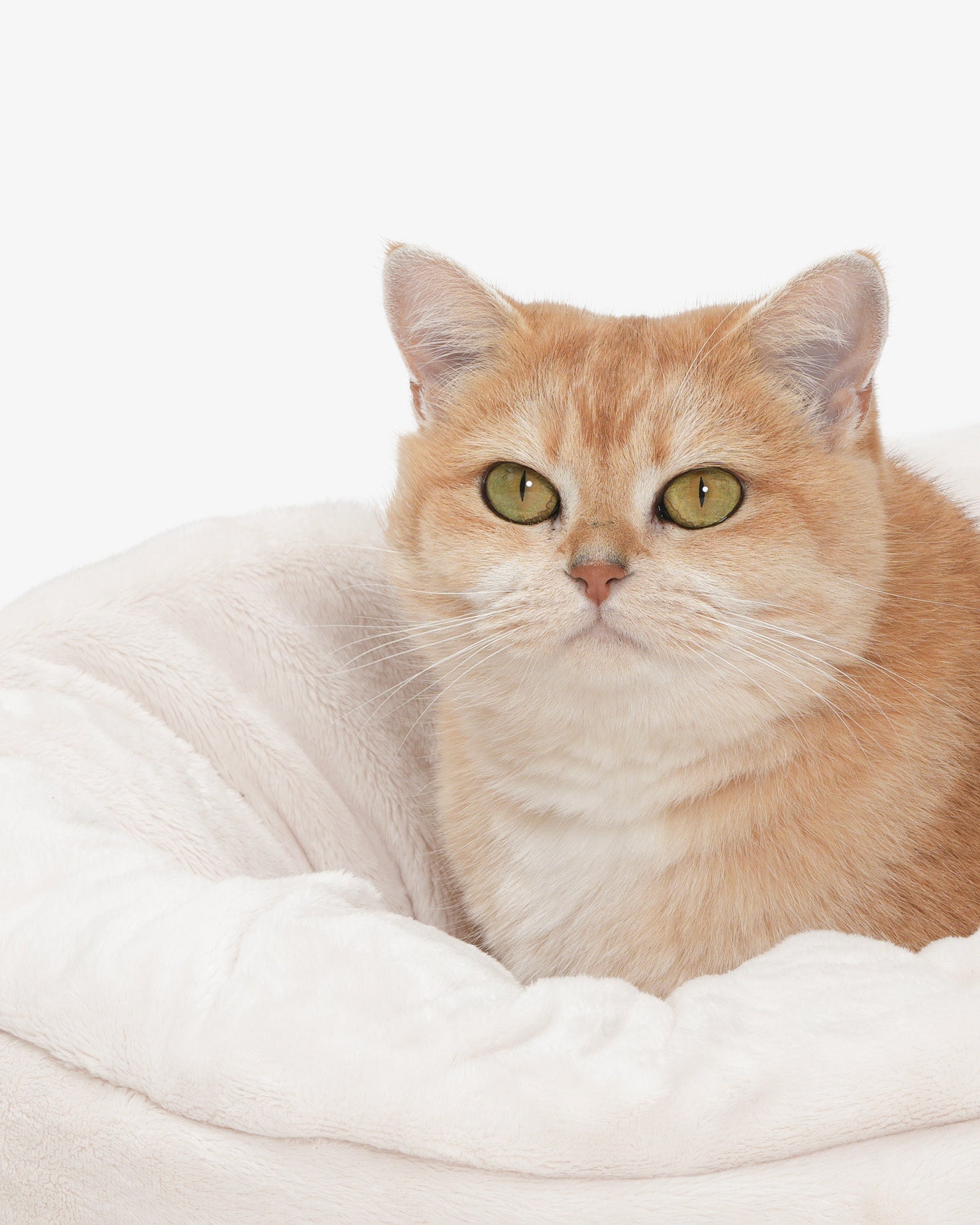 [SO-CA011] SSOOOK Sleeping Cushion &amp; Stroller Bags